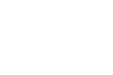 Timeless Studios